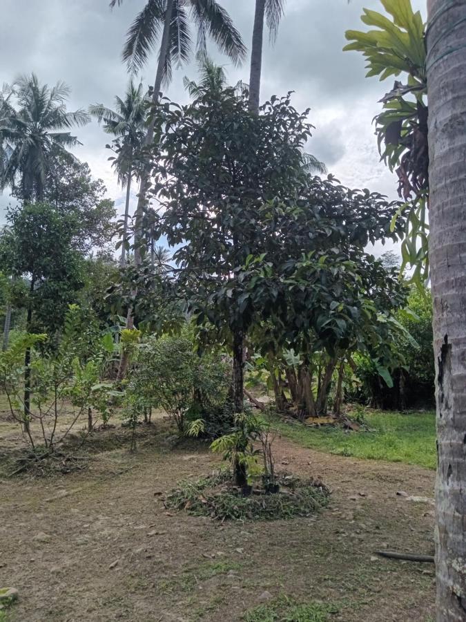 Chom Suan Farmstay Ko Kut ภายนอก รูปภาพ