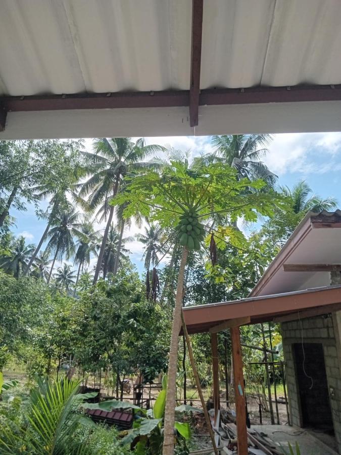 Chom Suan Farmstay Ko Kut ภายนอก รูปภาพ