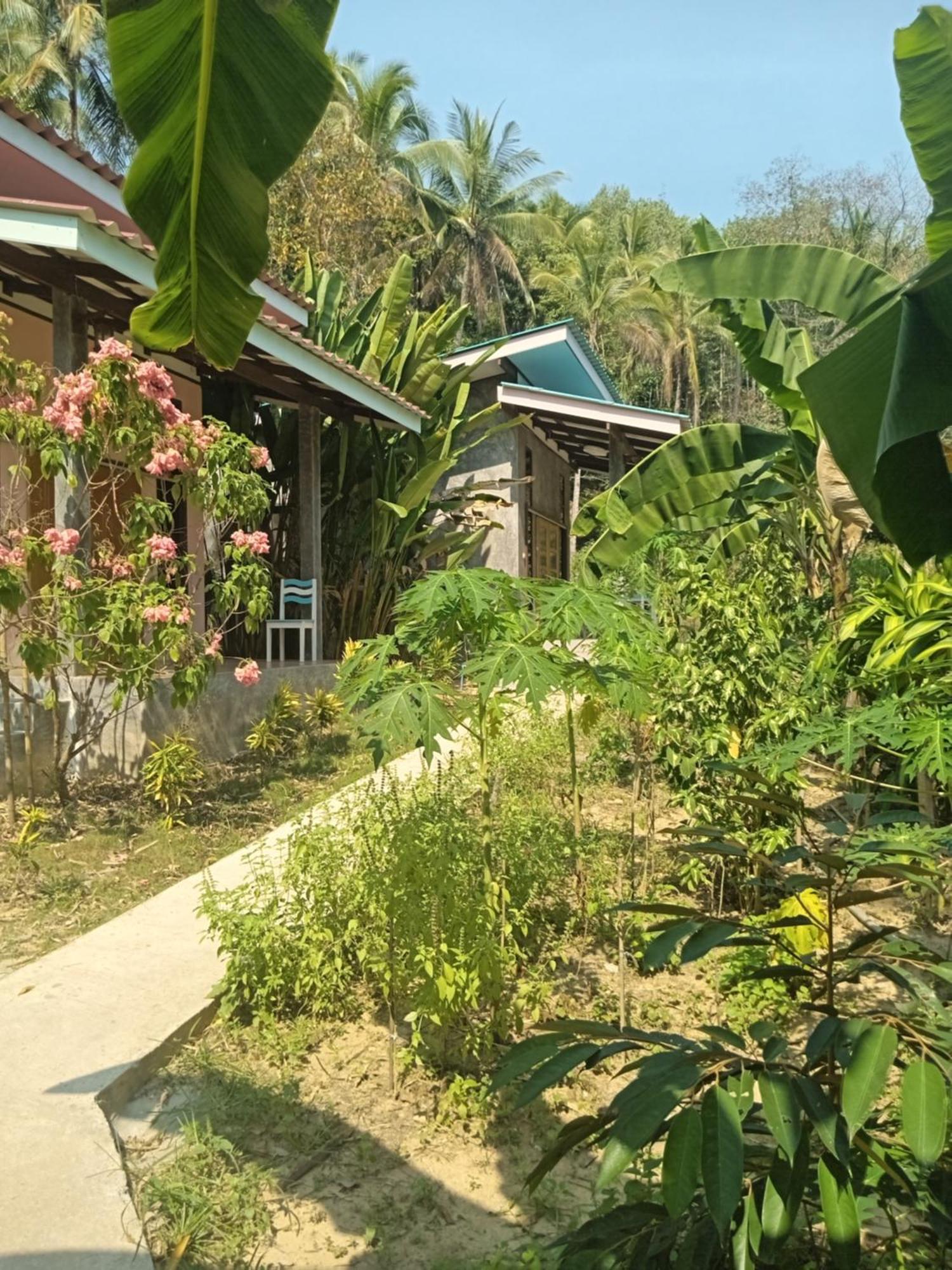 Chom Suan Farmstay Ko Kut ภายนอก รูปภาพ